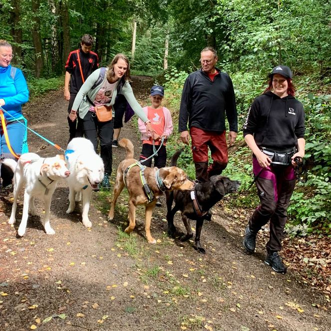 Hundewanderung Waldmünchen